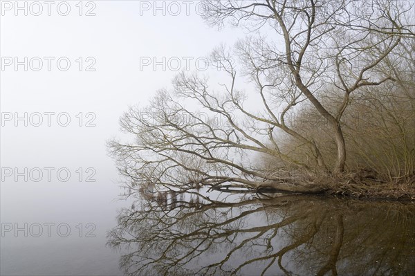 Foggy atmosphere at Lake Moehne