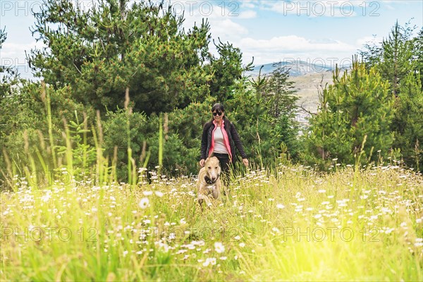 Friendly and happy dog walking in the mountains with his owner. Woman hiking with her dog. Travel with pet