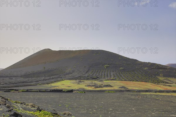 Vineyards around La Geria with the mountain Montana Chupaderos