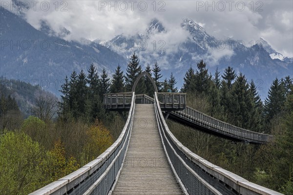 Treetop path