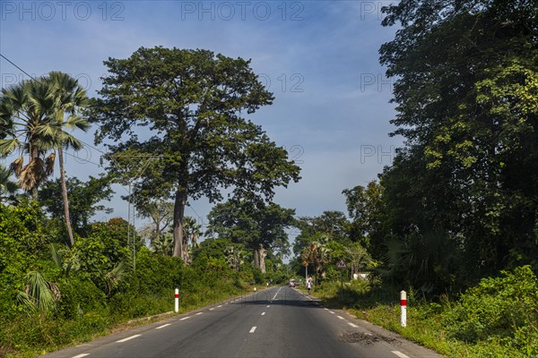 Street in Casamance