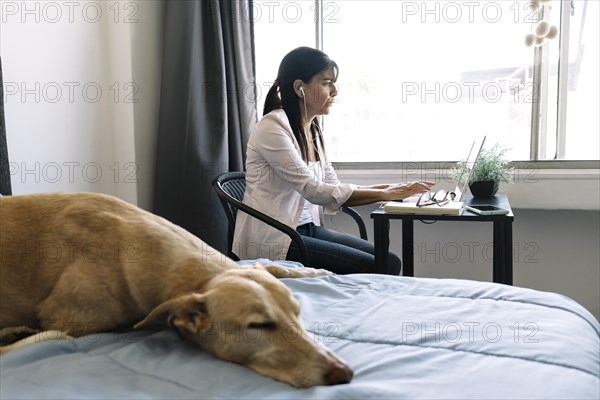 Business woman working on a laptop computer