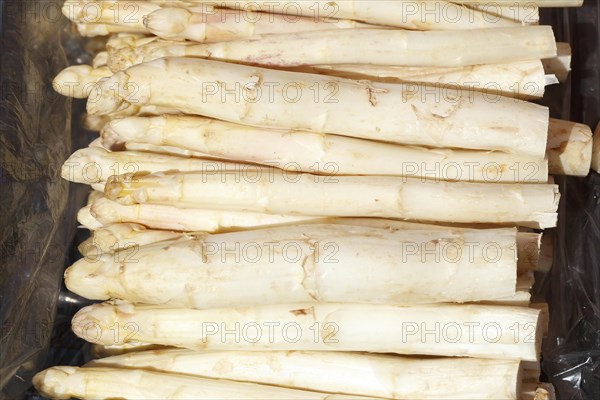 Fresh asparagus on a market stall