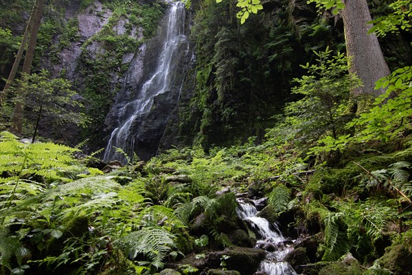 Landscape shot of the Burgbach waterfall