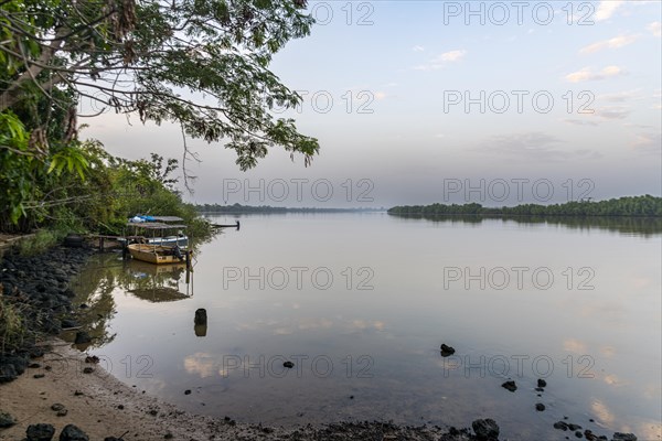 Morning light at the River Gambia National Park