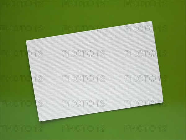 Blank paper tag label