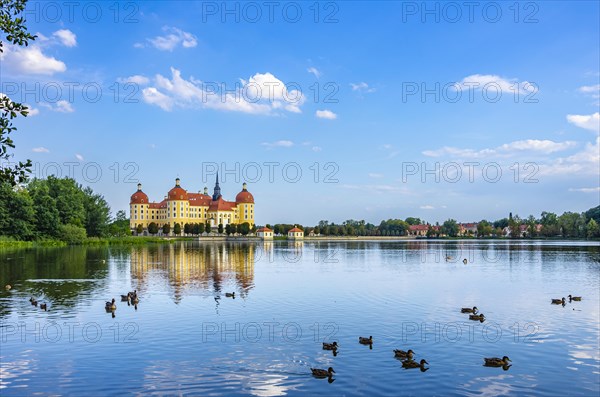 The world-famous Moritzburg Castle near Dresden