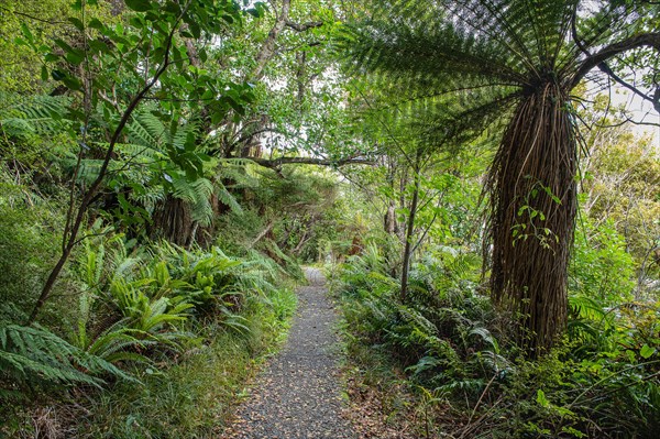 Golden Bay Track