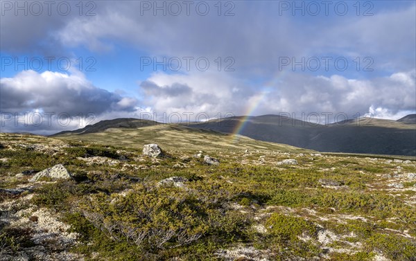 Landscape in the Fjell with rainbow