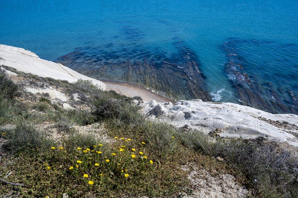 Chalk cliffs at Capo Bianco