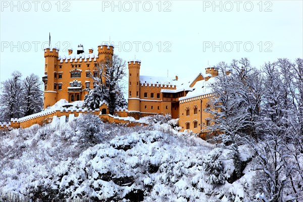 Hohenschwangau Castle in winter