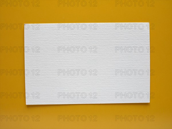 Blank paper tag label