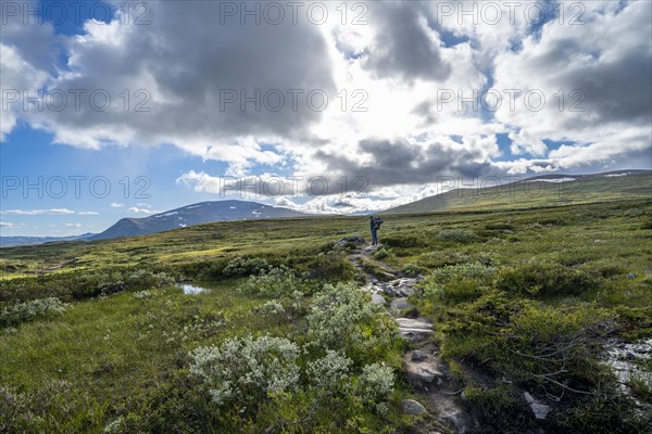 Mountaineer on hiking trail in the mountains