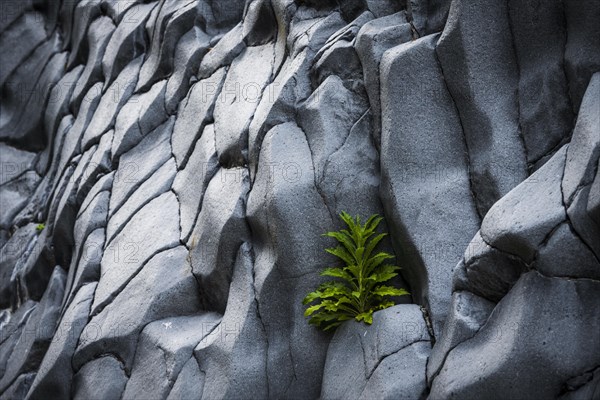 Rock formations of basalt and lava rock in the river park Gole dell' Alcantara