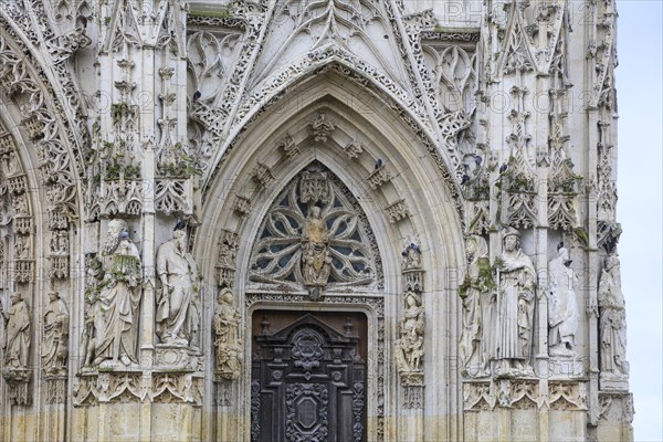 Collegiale Saint-Vulfran