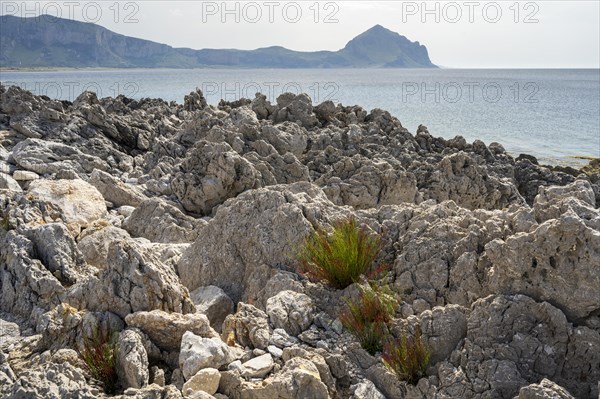 Rocks on the coast