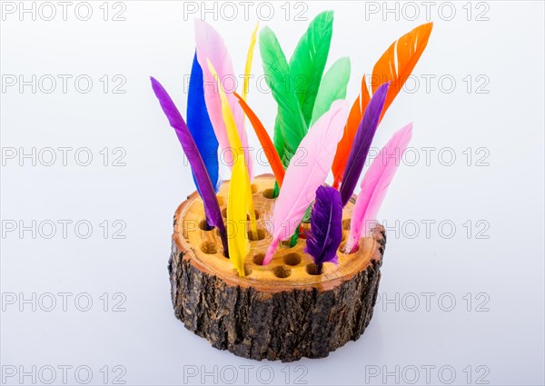 Collection of bright colored feathers on a wooden log