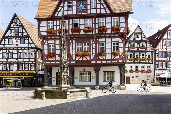 Town view with half-timbered houses