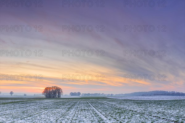 Evening atmosphere of a snow-covered field