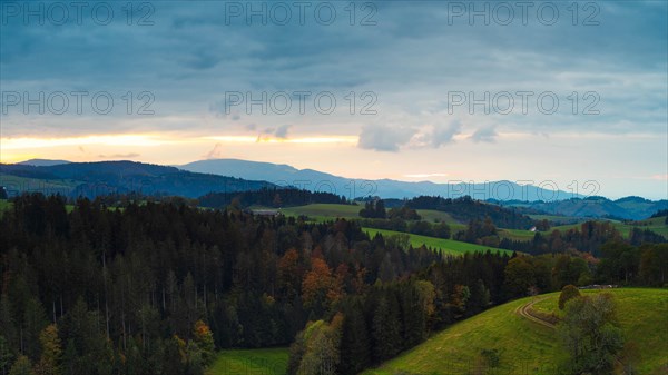 Black Forest landscape