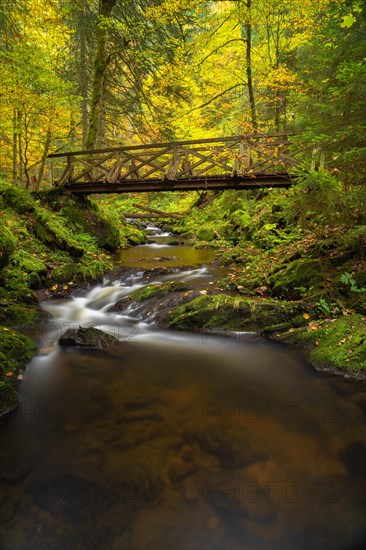 Bridge over the Ravenna stream