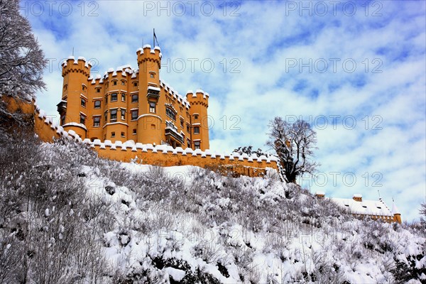 Hohenschwangau Castle in winter