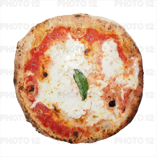 Margherita pizza baked food isolated over white