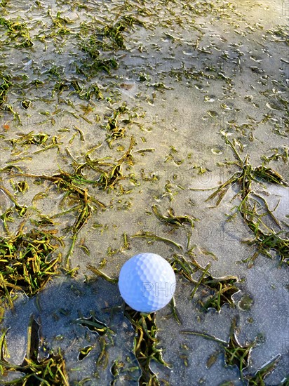 Golf Ball on Fairway Grass with Ice and Sunlight in Lugano