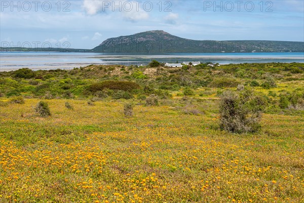 West Coast National Park