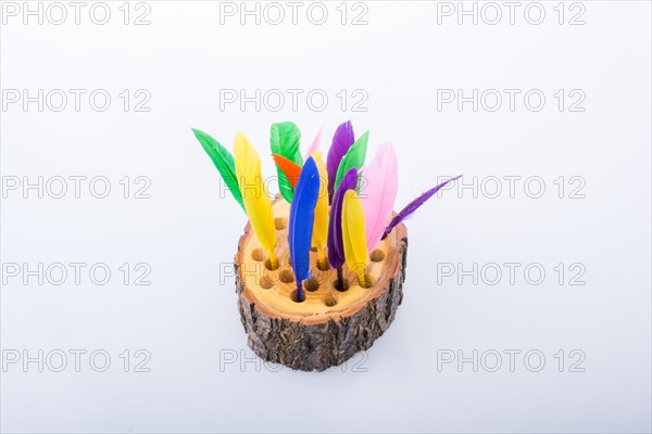 Collection of bright colored feathers on a wooden log