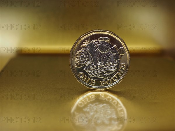 1 pound coin money