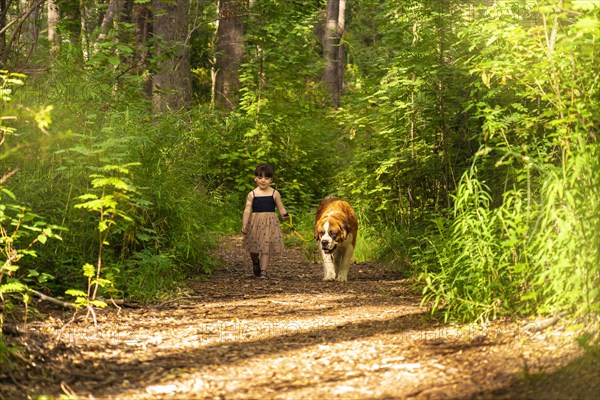 Little girl having fun during a walk in the woods with a saint bernard dog