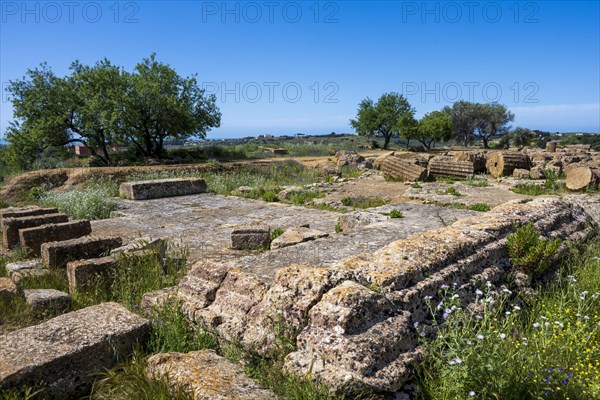 Valle dei Templi