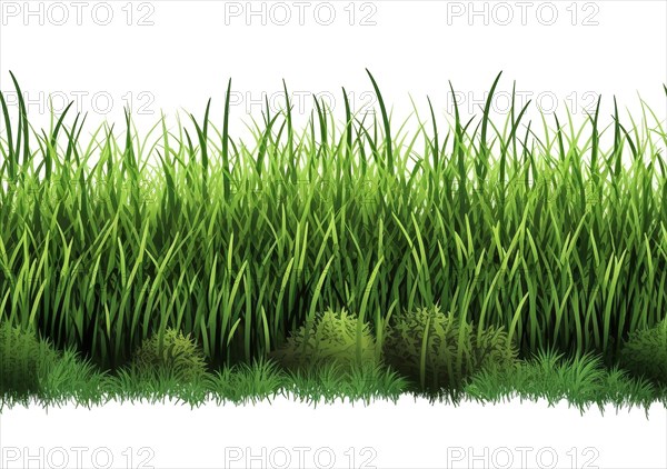 Seamless tileable row of fresh grass on a white background