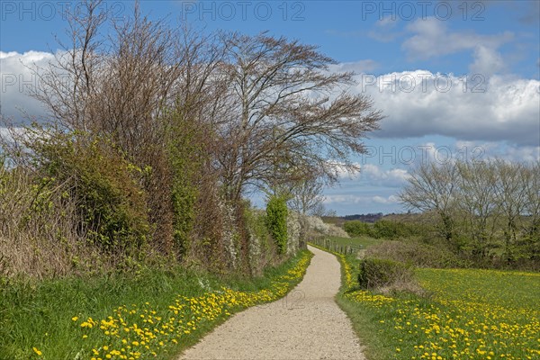 Hiking trail