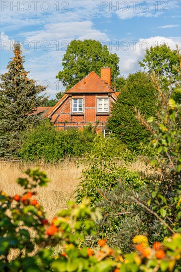 Brick house in Ringenwalde