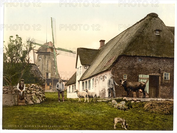 The mill in Munkmarsch on Sylt