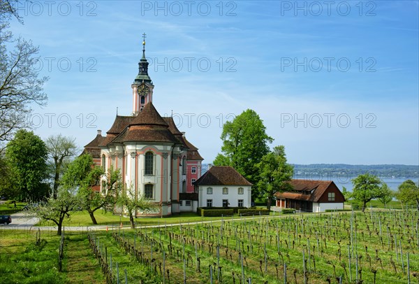 Vineyards