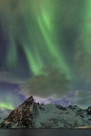 Northern Lights or Aurora Borealis over Reinefjord