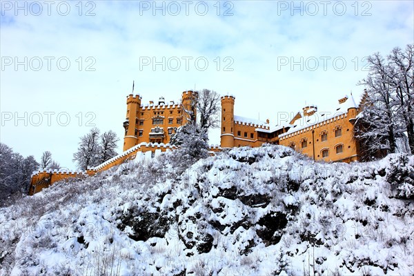 Hohenschwangau Castle in winter