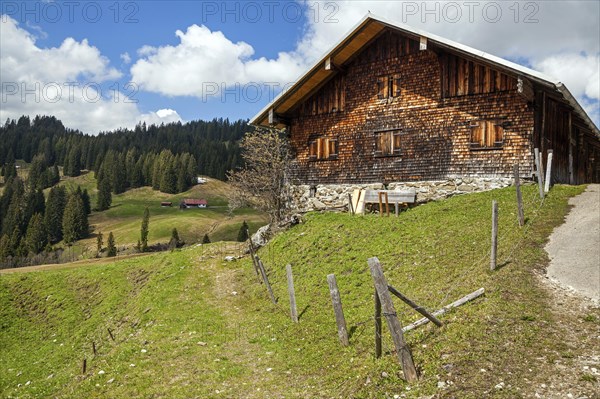 Toniskopf-Alpe