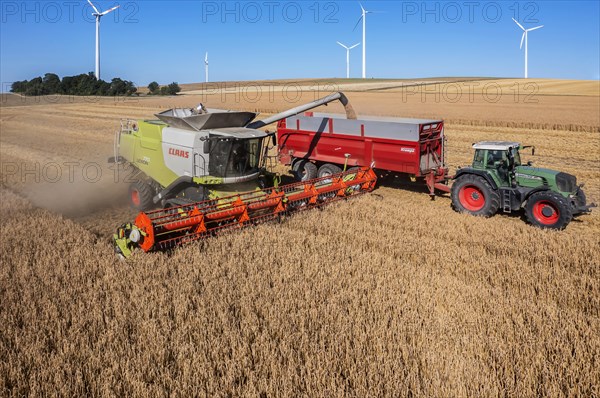 Grain harvest in the Swabian Jura