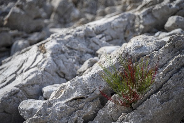 Rocks on the coast