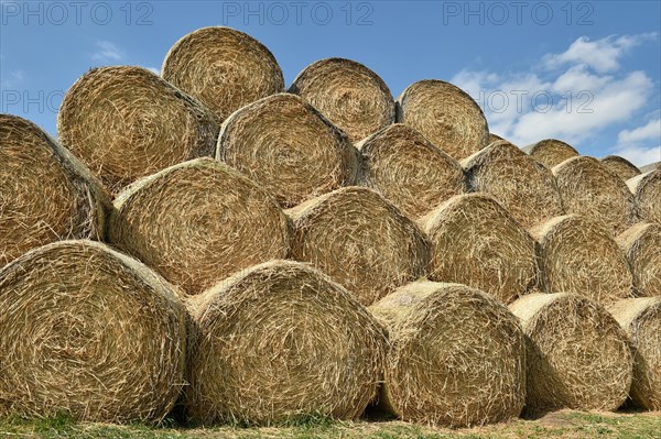 Round bales stored in a field after harvest