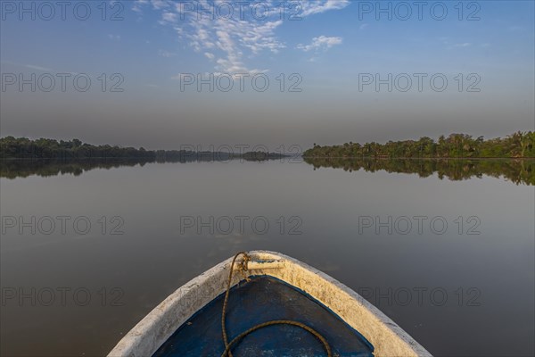 Morning light at the River Gambia National Park