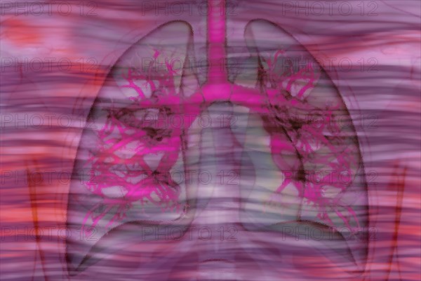 Illustration of the lungs The lungs are the organ in our body that ensures that vital oxygen from the air we breathe gets into our blood