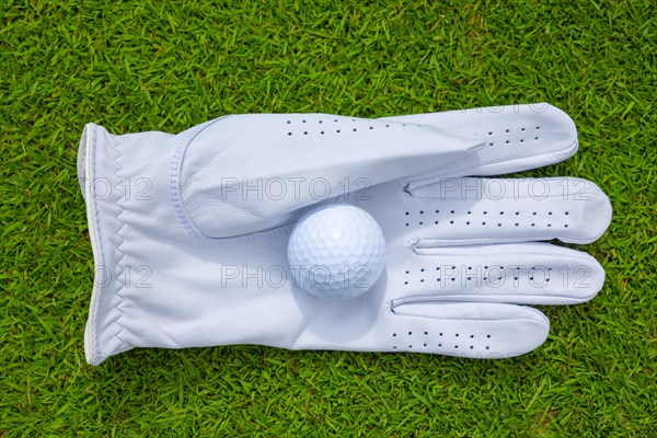 Golf Glove and Ball on the Green Grass in Switzerland