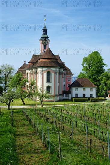 Vineyards