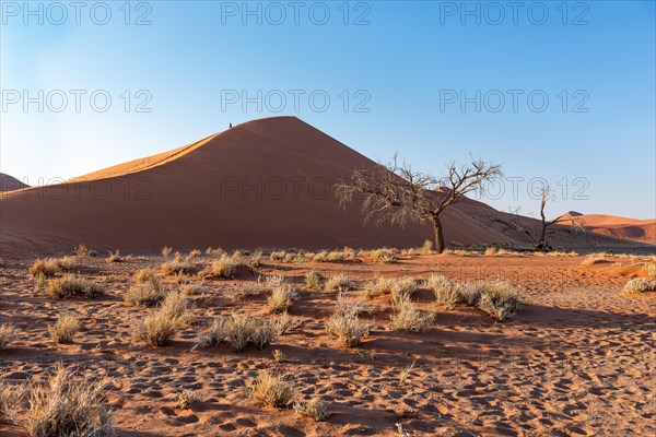 Red sand dunes