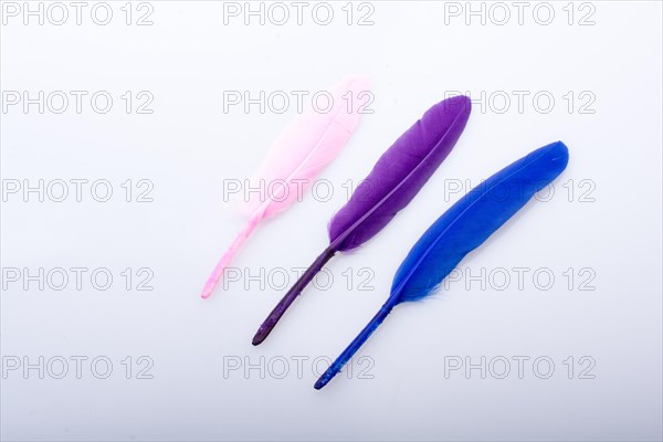 Collection of colored decorative feathers placed on white background